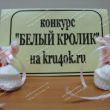 Пинетки  «Озорные  зайчатки»
