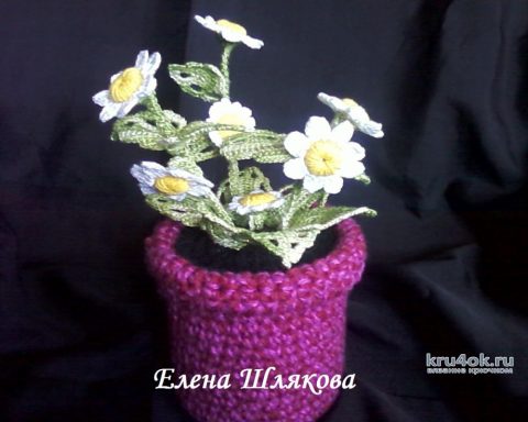 Вязаные цветы в горшочках. Работы Елены Шляковой вязание и схемы вязания