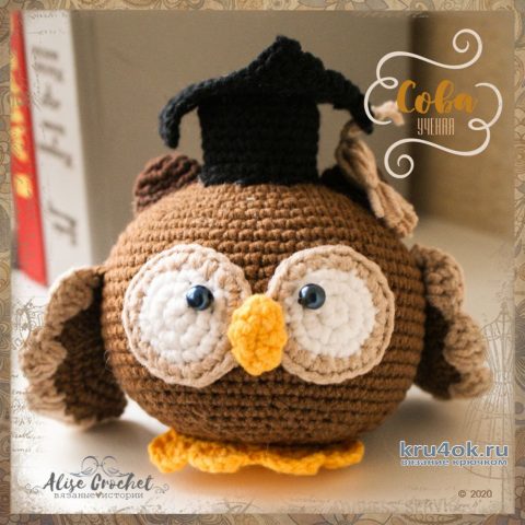 Ученая сова, вязанная крючком игрушка. Работа Alise Crochet вязание и схемы вязания
