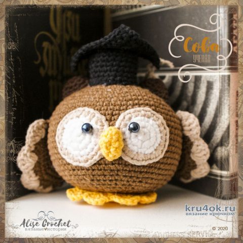 Ученая сова, вязанная крючком игрушка. Работа Alise Crochet вязание и схемы вязания